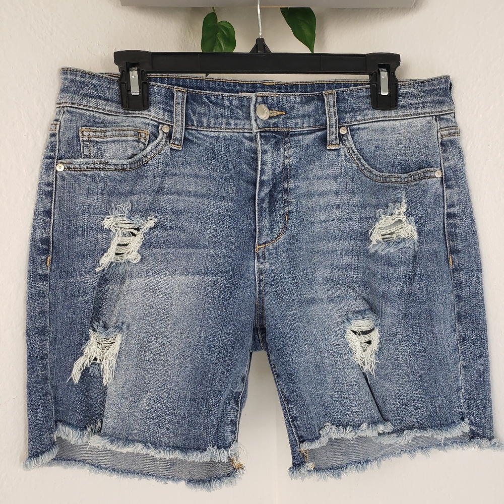 Joe's Jeans High Waist Distressed w/ Raw Fringe - Bohemian Grunge Indy Rocker